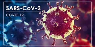 You are currently viewing COVID-19 : une nouvelle étude conforte l’infectiosité pré-symptomatique du virus