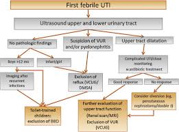 You are currently viewing Is ultrasonography mandatory in all  children at their first febrile urinary tract infection_
